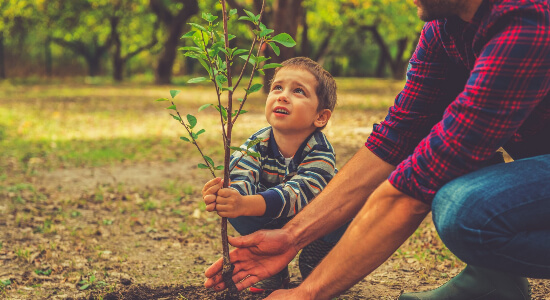 Parent Guardianship